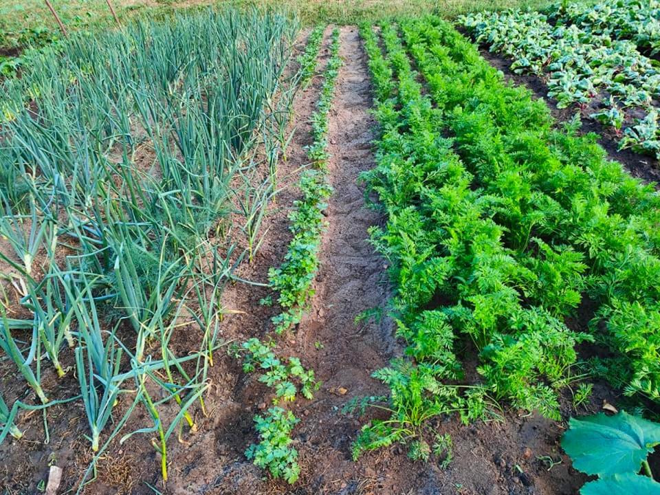 Agrowinnica Borzytuchom Kültér fotó